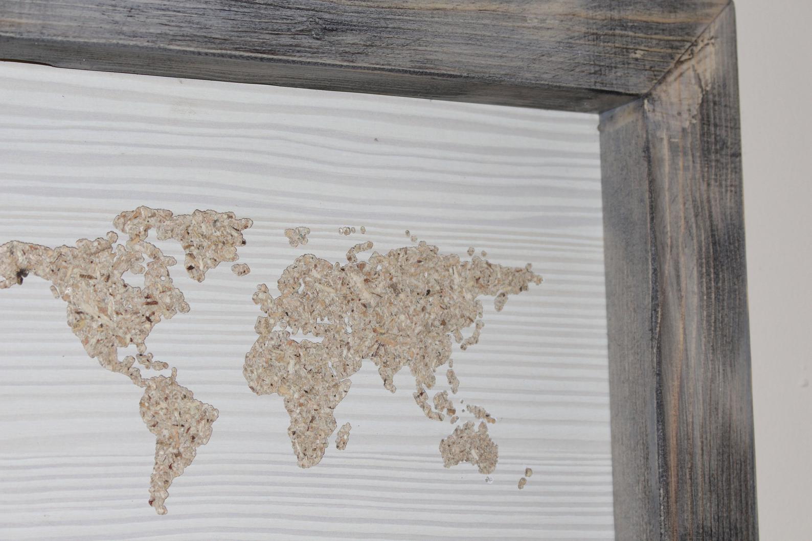 world map picture2